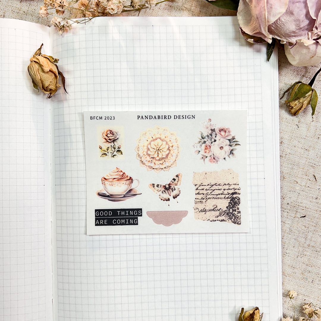 BFCM Sampler